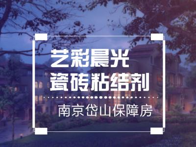艺彩尊龙官方网站瓷砖粘结剂优秀案例：南京岱山保障房公共部位翻新