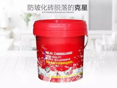 艺彩尊龙官方网站瓷砖粘结剂年度优秀案例首发：齐齐哈尔第八中学