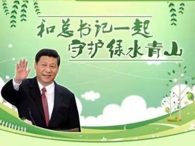 为了绿水青山：尊龙官方网站刷新绿色科技未来